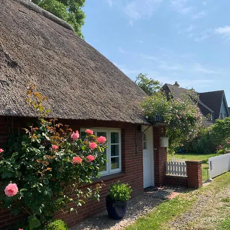 Föhrliebt Reetdachhaus *