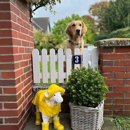Föhrliebt Reetdachhaus Alkersum